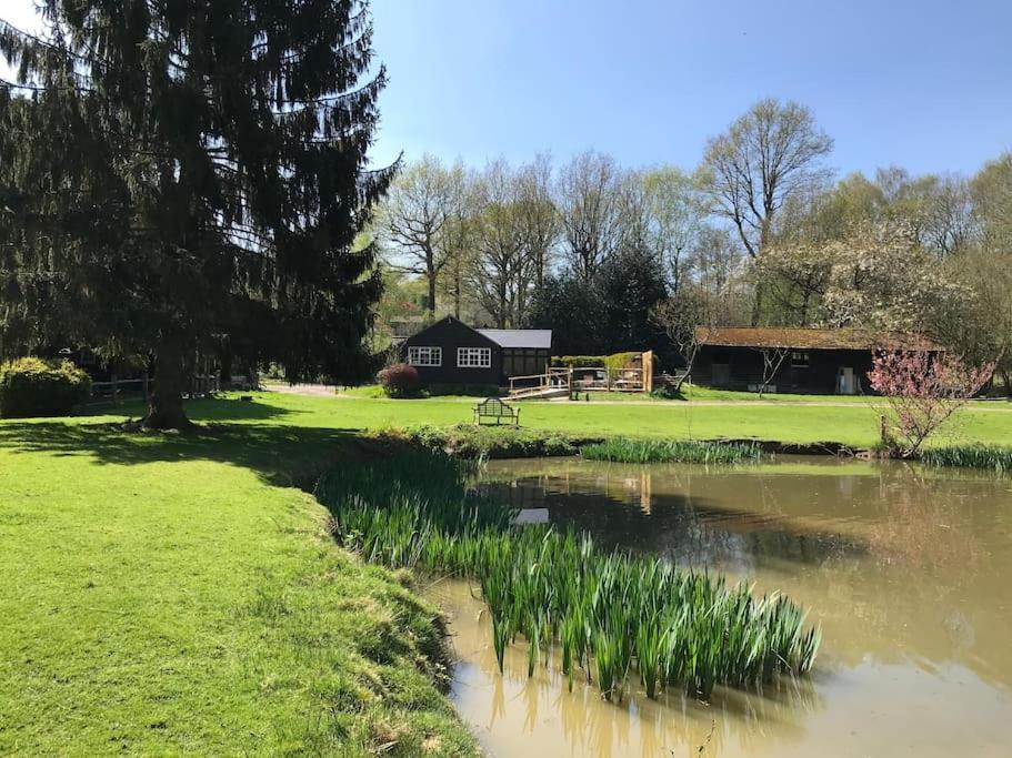 Halfmoon Lodge @ Knights Hole Wheelchair Access クランブルック エクステリア 写真